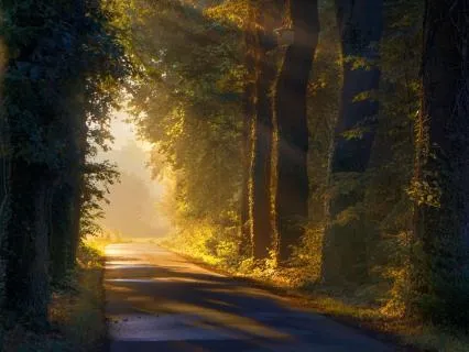 For When You Feel Anxious Or Overwhelmed