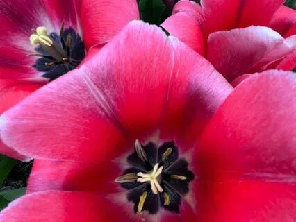 For When You're Feeling Tight & Anxious