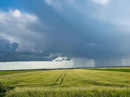 For When You're Having A Bad Day