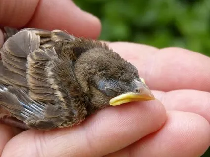 For When You've Been Neglecting Yourself