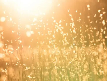 For You | Peaceful Ambient Acoustic Guitar Journey In Nature