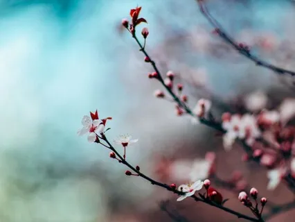 Forårsjævndøgn Yoga Nidra