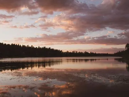 Force Of Love: Heal Old Wounds & Restore The Heart