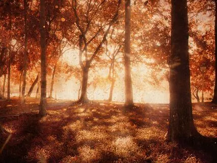 Forest Abundance: Manifest With Nature’s Energy