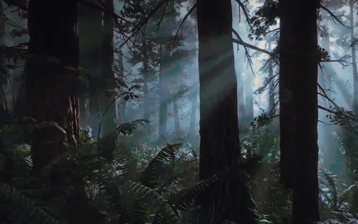 Forest At Night Ambience | Sounds For Sleep & Relaxation