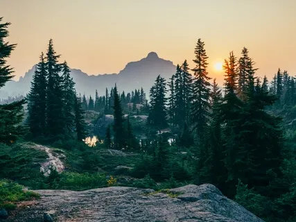 Forest Bathing Guided Imagery