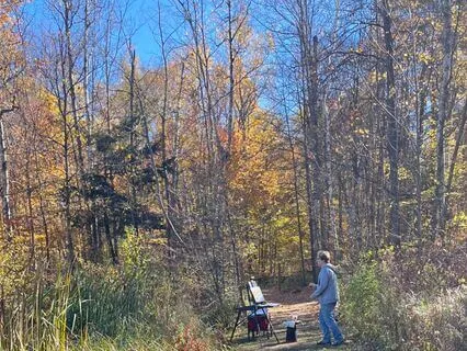 Forest Bathing Meditation