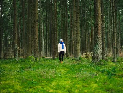 Forest Bathing To Sooth The Nervous System
