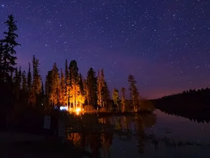 Forest Camp By The Ocean – Australian Nature At Night