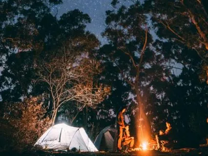 Forest Campfire - Crackling Fire & Night Forest • 10 Hours