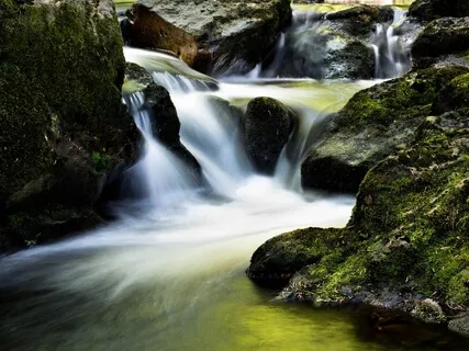 Forest Creek | Nature Sounds | For Stress Relief, Relaxation & Sleeping