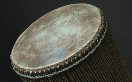 Forest Drums Journey