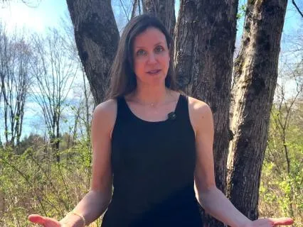Forest Energy Exchange