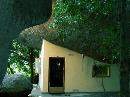 Forest Forest Retreat