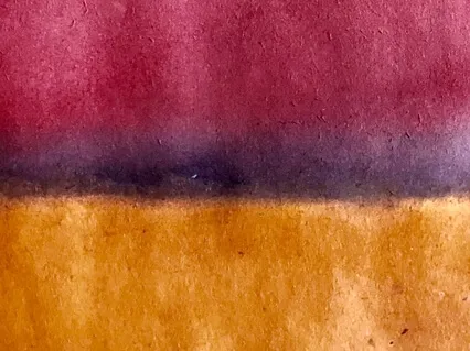 Forest - Guided Walking Meditation