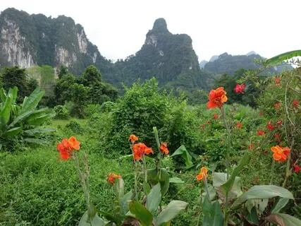 Forest Kiss - Vibrant Harp And Tropical Soundscape