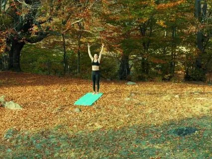 Forest Nervous System Grounding: 3-Minute Grounding Practice