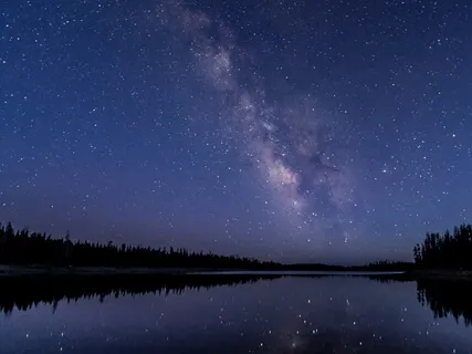 Forest Nocturne Mix For Insight Timer