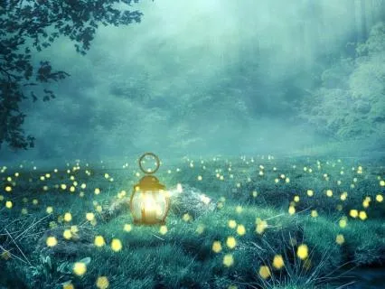 Forest Of Deep Rest: Overnight Sleep Journey