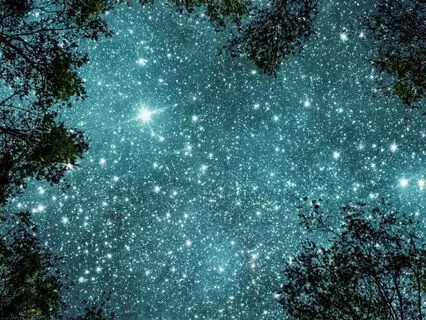 Forest Of Dreams: A Yoga Nidra Journey