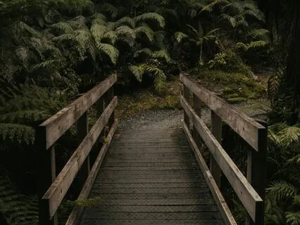 Forest Of Dreams - Deep Sleep Meditation