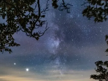 Forest Of Dreams With 432 Hz