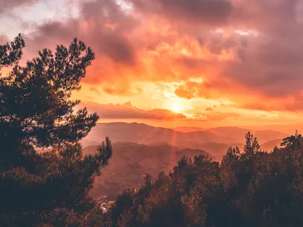 Breathing Meditation: Forest Of Freedom