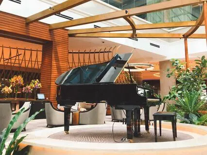 Forest Piano, Ambient Soundscapes & Theta Waves