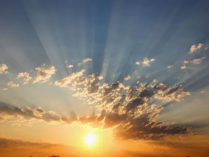 Forest Practice: 'Antistress' Meditation 1