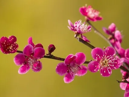 Forest Practice: 'Antistress' Meditation 4