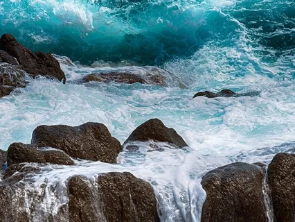 Forest Practice: 'Male Energy' Meditation 8