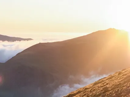 Forest Practice: 'Male Energy' Meditation 9