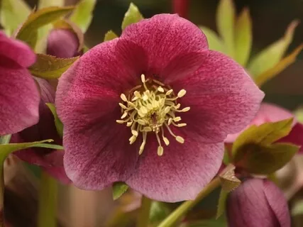 Forest Practice. 'Weight Reduction Assistance'. Meditation 1