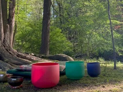 Forest Sound Bath Meditation