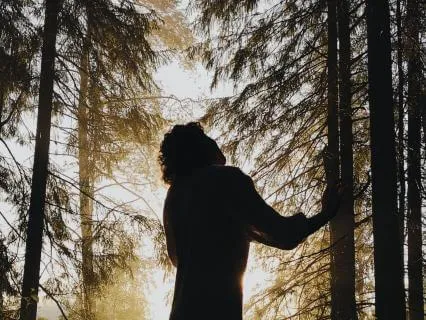 Forest Stillness | Calm & Relaxation