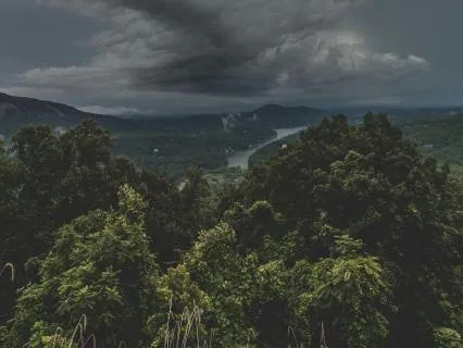 Forest Storm: 10 Hours Of Deep Calm