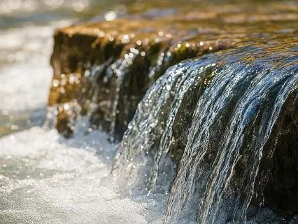 Forest Stream: Nature Sounds For Sleep (10 Hours)