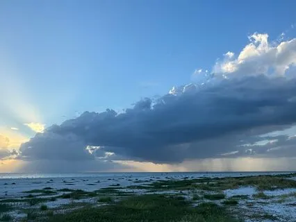 Forest & Tide: 432 Hz. Soundbath For Renewal