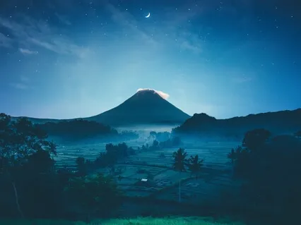 Forest Walk In The Rain (Night)