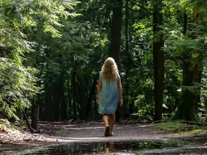 Forest Walking Meditation