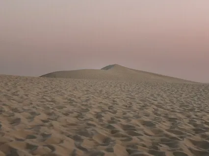 Forever Piano (For The Immune System)