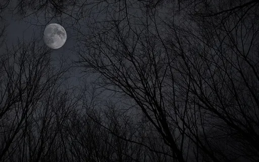 Forget Bad Habits With 258 Hz