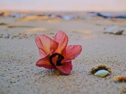 Forget The Fairy Godmother