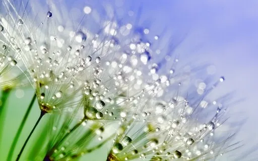 Forgetting Negative Thoughts With 432Hz