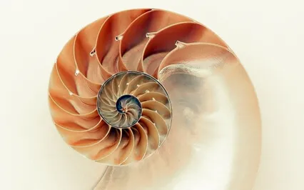 Forgetting The Self And How It Relieves Suffering