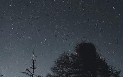 Forgetting The Trauma With 174 Hz