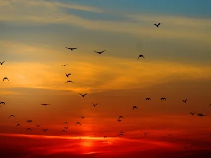 Forgiveness – A Soulful Piano Song