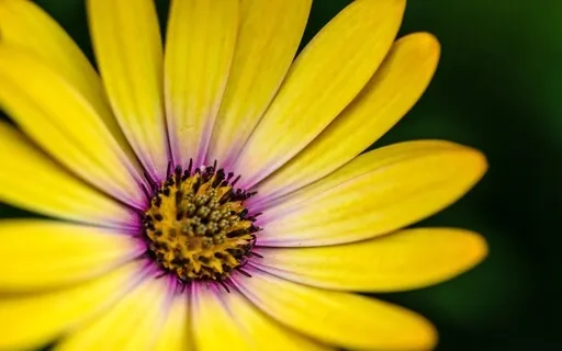 Forgive, Forget, Move On