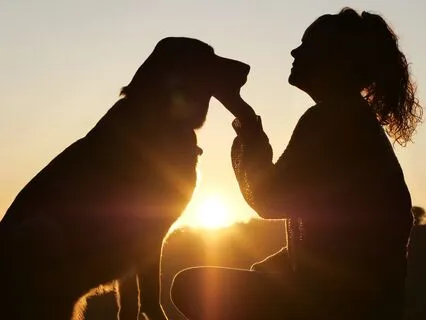 Forgive Me, I Forgive You: Daily Forgiveness Affirmations