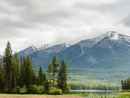 Forgive Yourself: Embrace Inner Peace